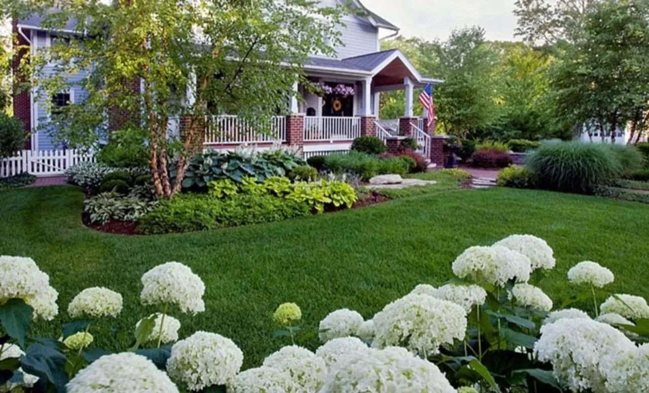 Lawn Care Program